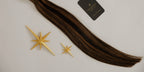 Cosmic Veil Clip Ins