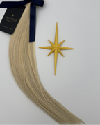Starlight Glow Clip Ins