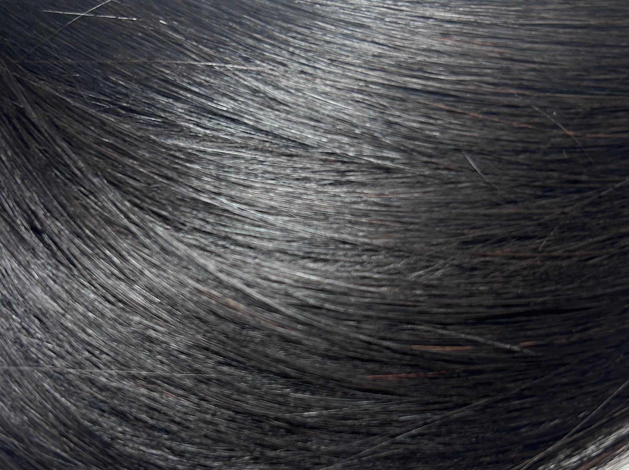 Midnight Ember Celestial Weft
